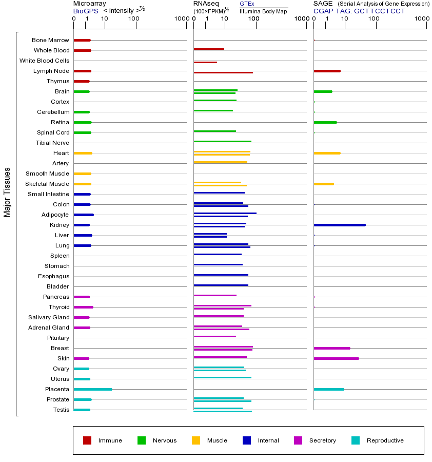 Gene expression across tissues