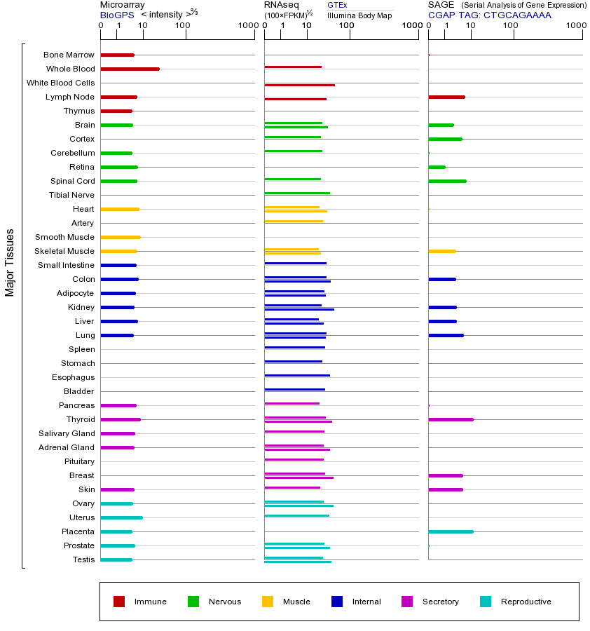 Gene expression across tissues