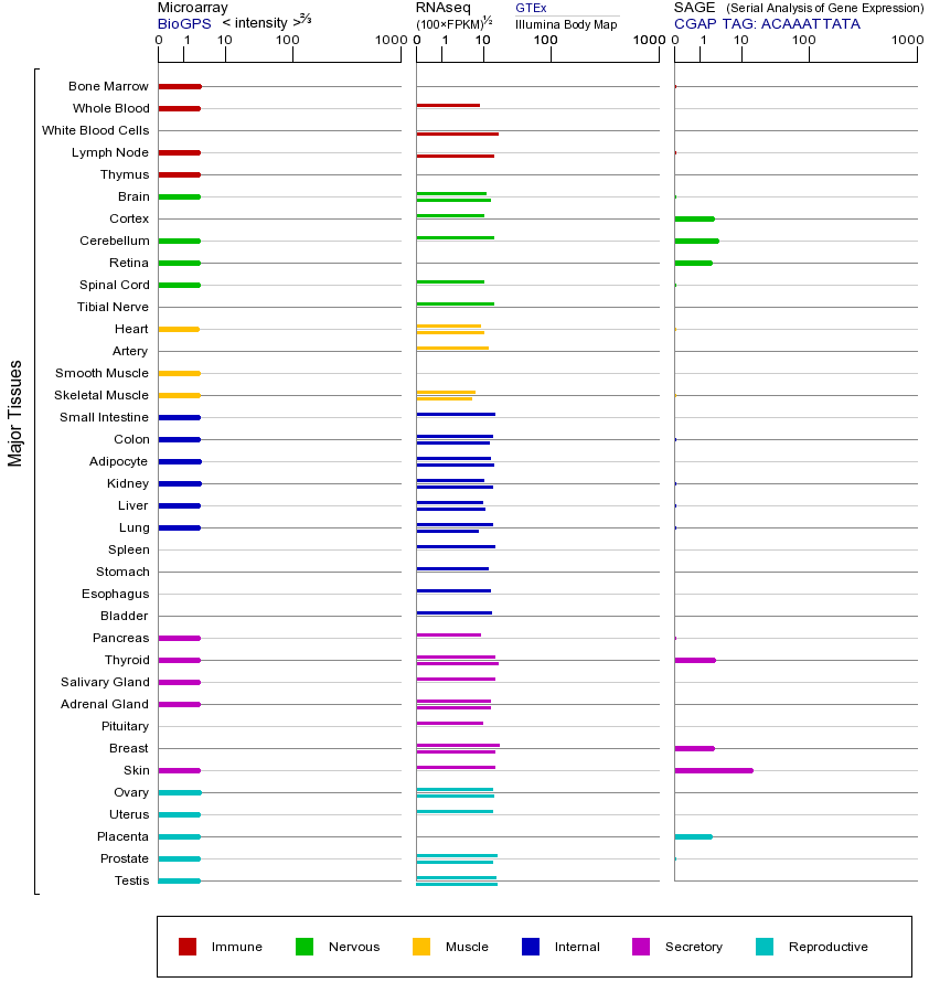 Gene expression across tissues