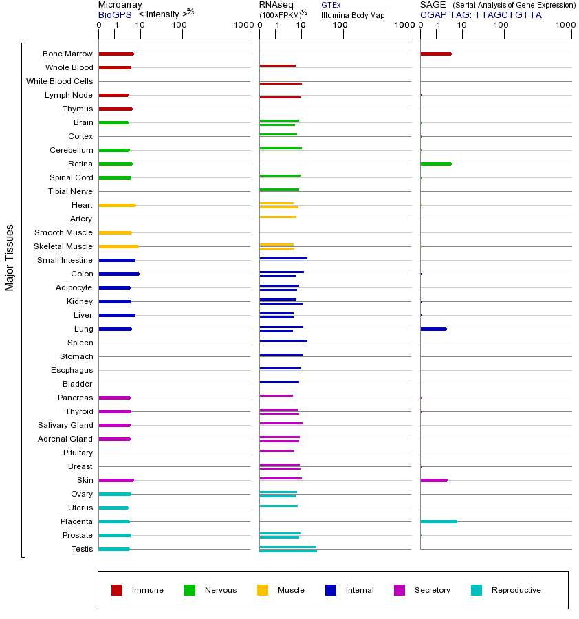 Gene expression across tissues