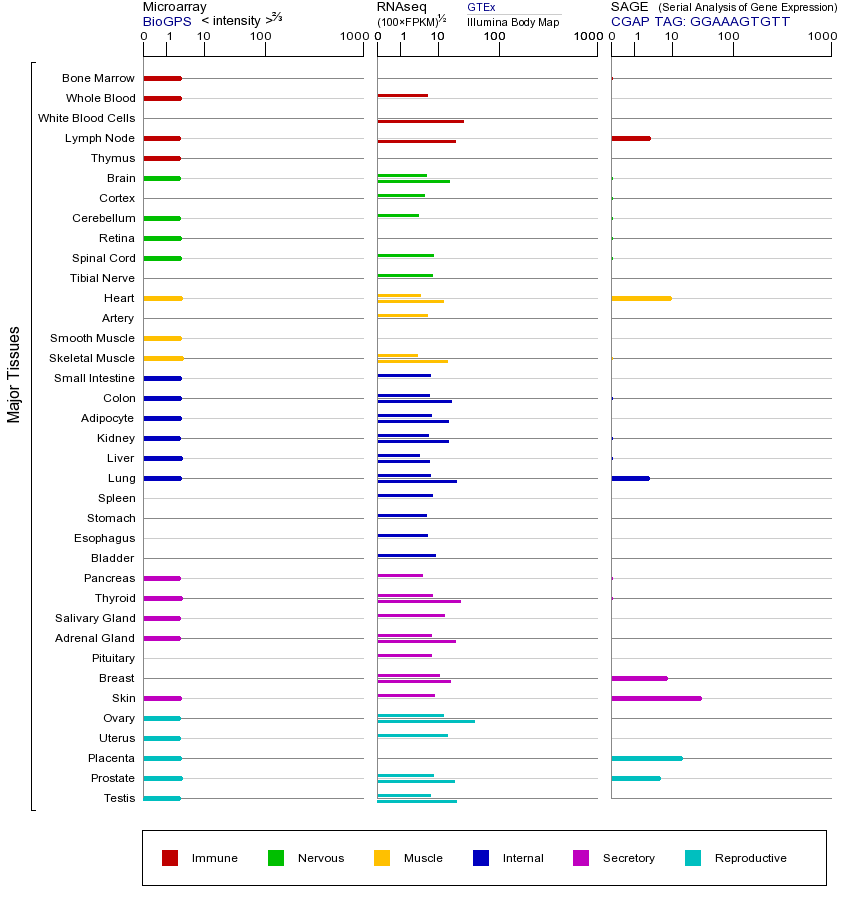 Gene expression across tissues