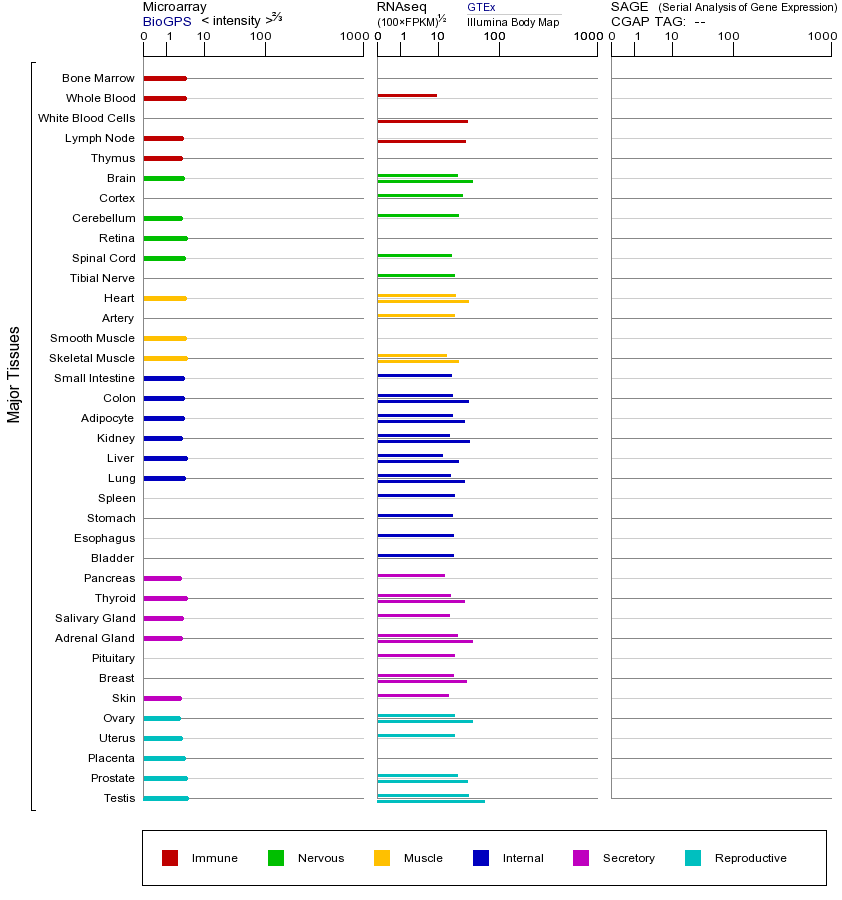 Gene expression across tissues
